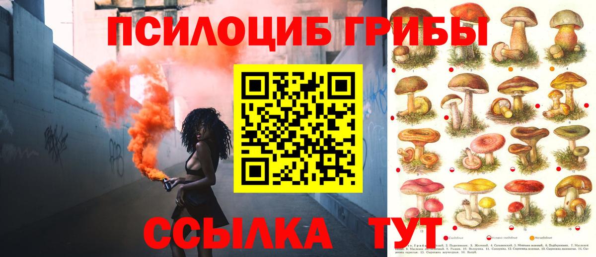 Галлюциногенные грибы Psilocybe  Вход с VPN  Сосновоборск 